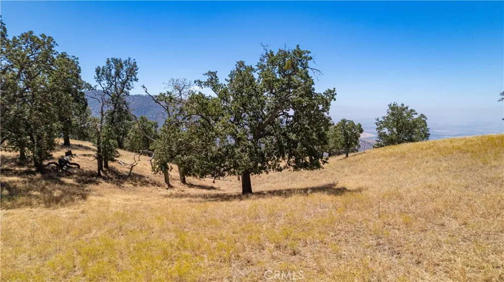 26201 Hazelwood Court Bear Valley Springs, CA 93561