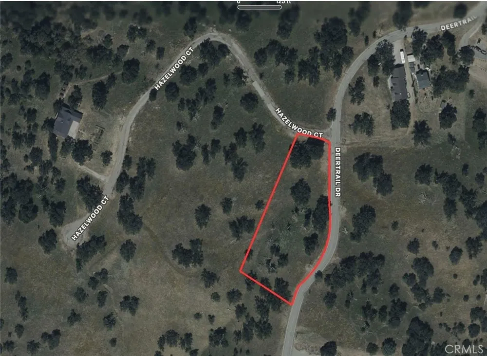 26201 Hazelwood Court Bear Valley Springs, CA 93561