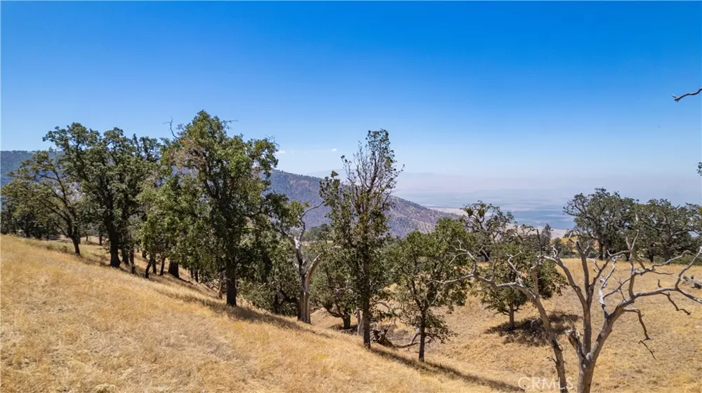 26201 Hazelwood Court Bear Valley Springs, CA 93561