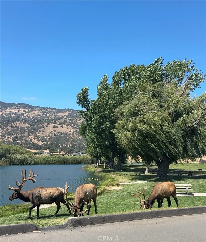 26201 Hazelwood Court Bear Valley Springs, CA 93561