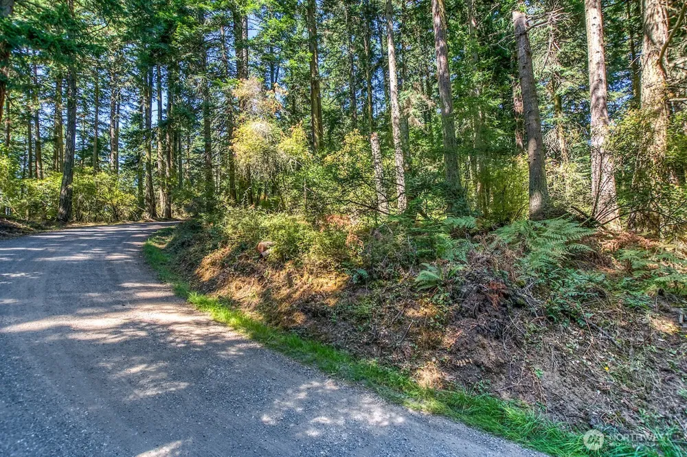 0 Pioneer Hill Road Orcas Island, WA 98245