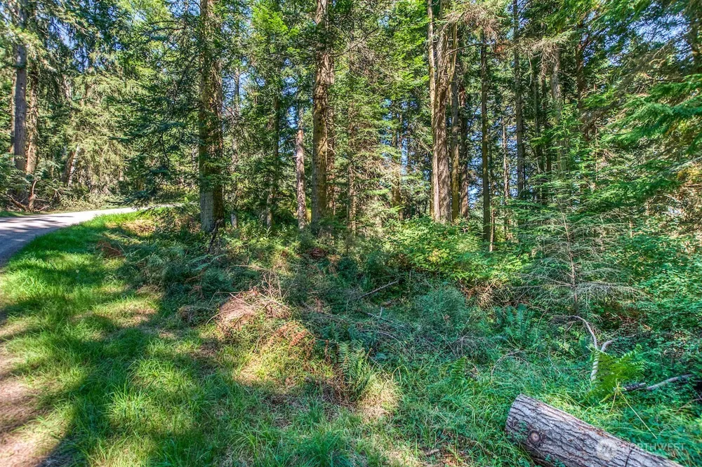 0 Pioneer Hill Road Orcas Island, WA 98245