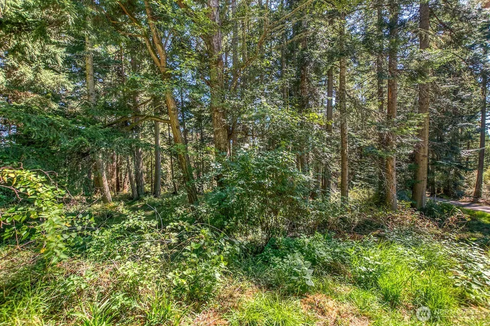 0 Pioneer Hill Road Orcas Island, WA 98245