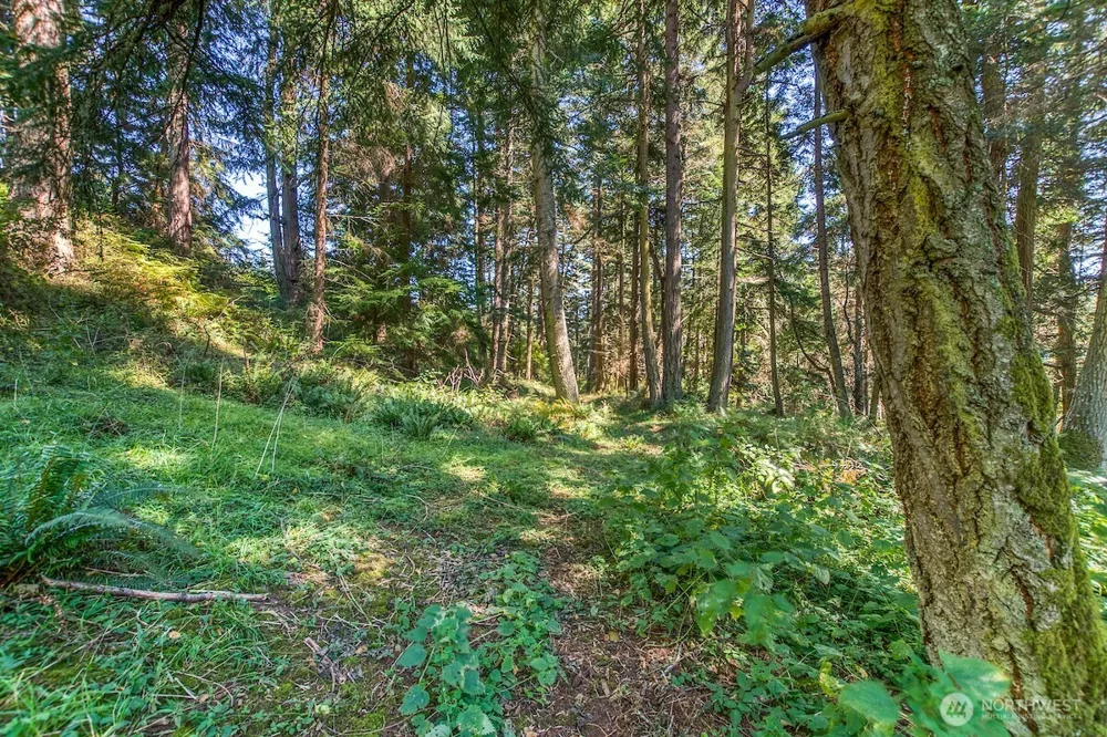 0 Pioneer Hill Road Orcas Island, WA 98245