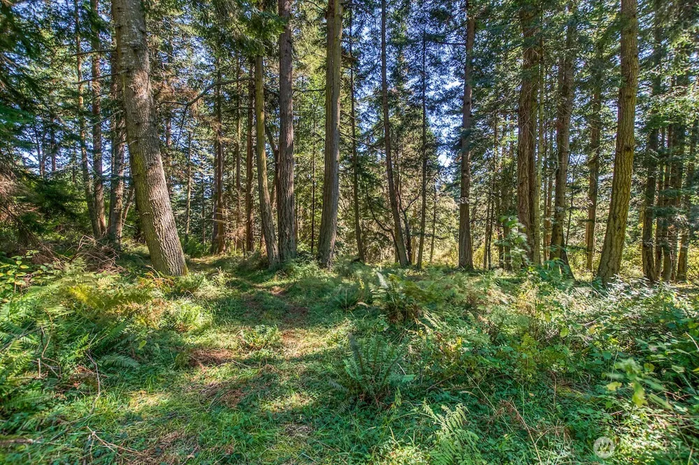 0 Pioneer Hill Road Orcas Island, WA 98245