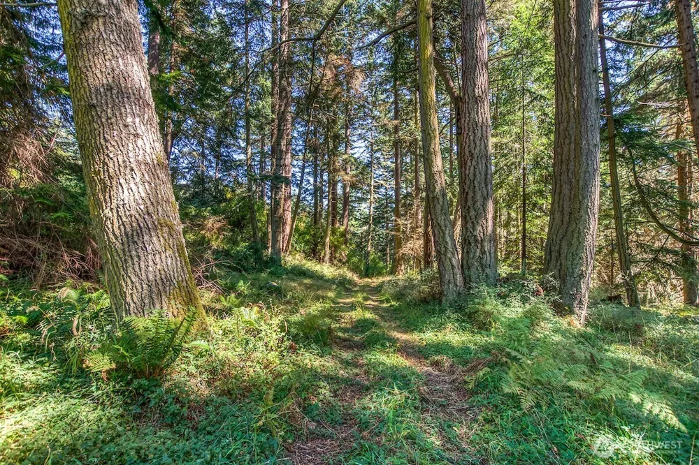 0 Pioneer Hill Road Orcas Island, WA 98245