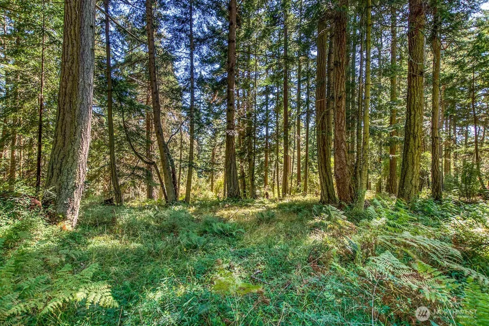 0 Pioneer Hill Road Orcas Island, WA 98245