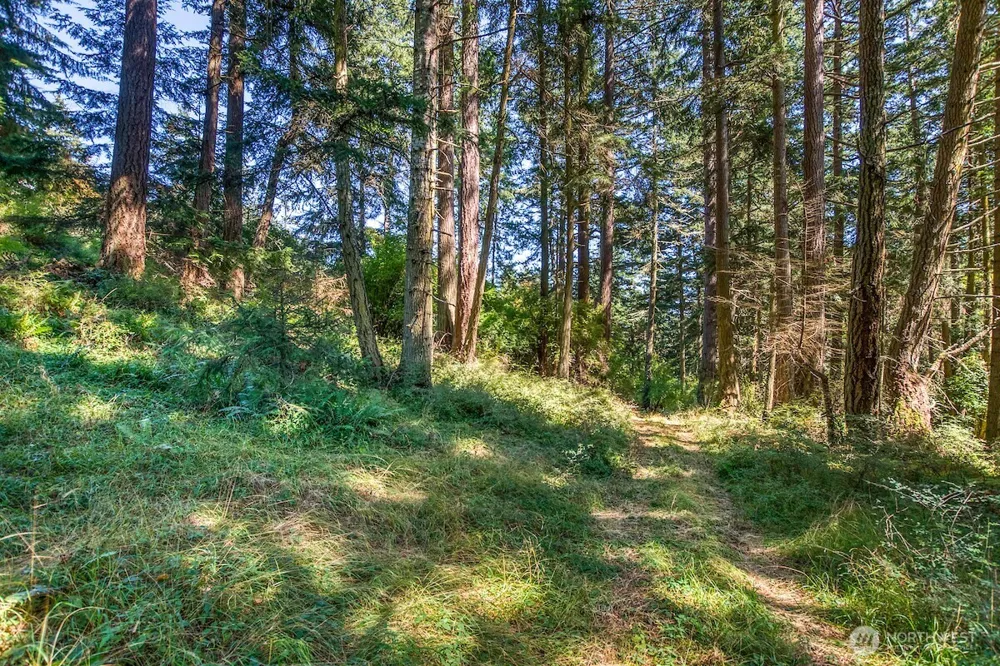 0 Pioneer Hill Road Orcas Island, WA 98245