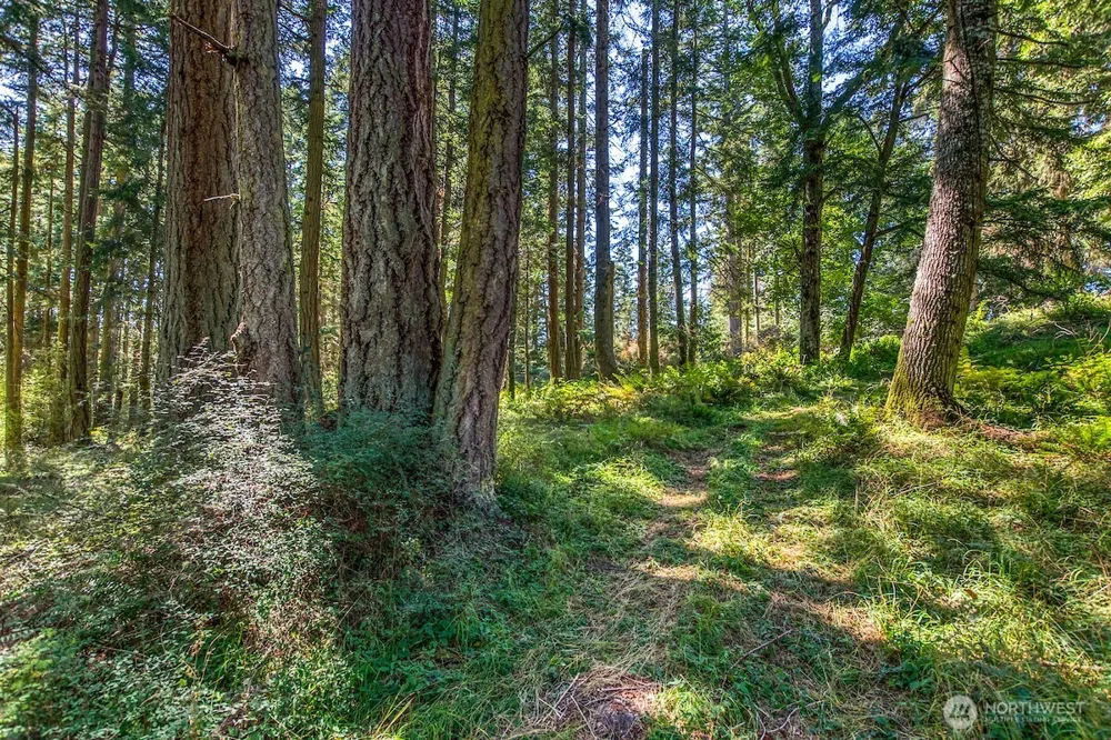 0 Pioneer Hill Road Orcas Island, WA 98245
