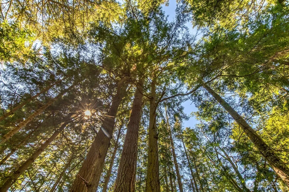 0 Pioneer Hill Road Orcas Island, WA 98245