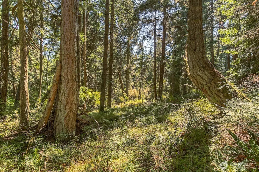 0 Pioneer Hill Road Orcas Island, WA 98245