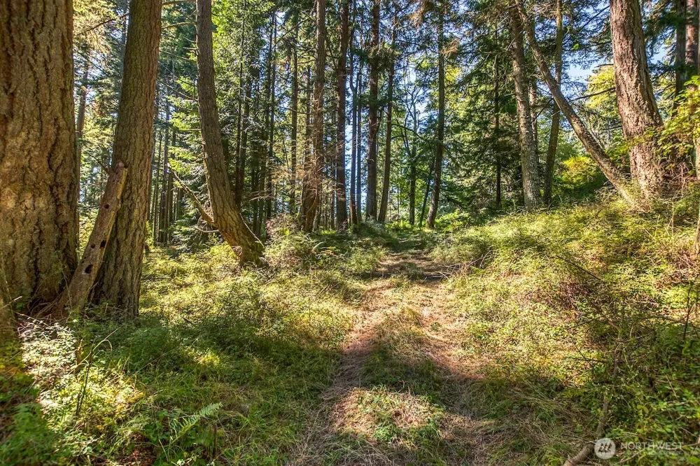 0 Pioneer Hill Road Orcas Island, WA 98245