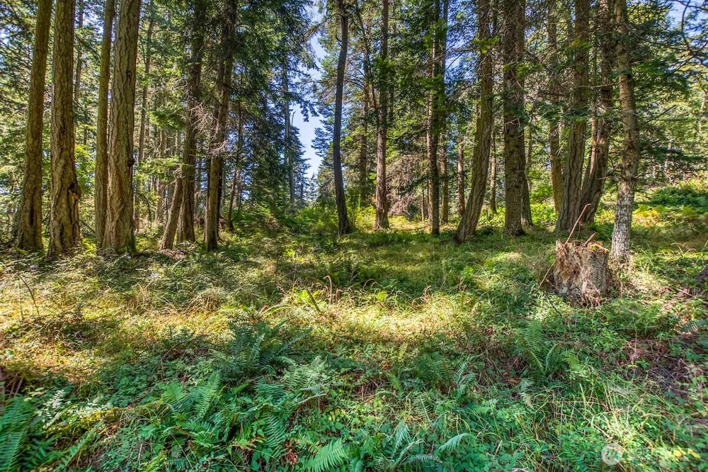 0 Pioneer Hill Road Orcas Island, WA 98245