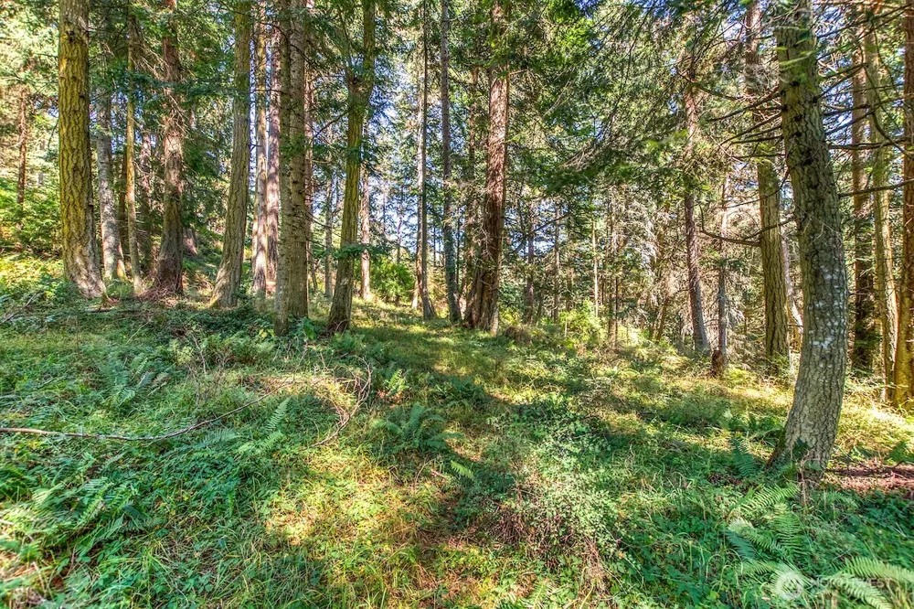 0 Pioneer Hill Road Orcas Island, WA 98245