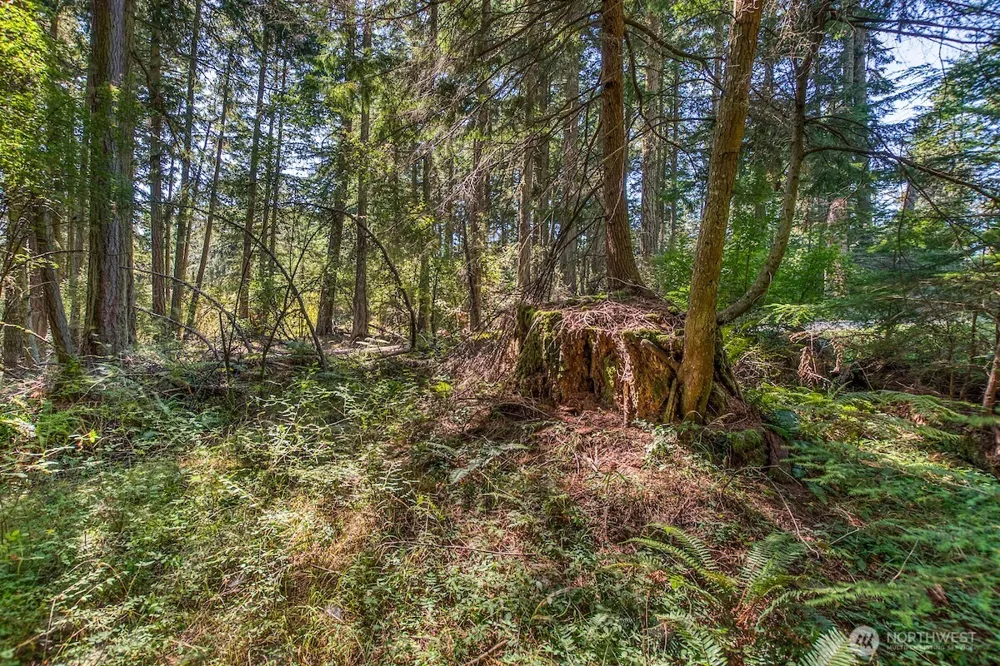 0 Pioneer Hill Road Orcas Island, WA 98245