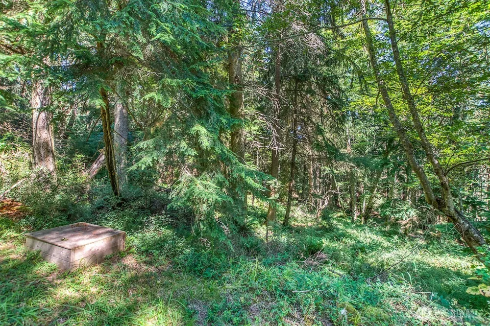 0 Pioneer Hill Road Orcas Island, WA 98245