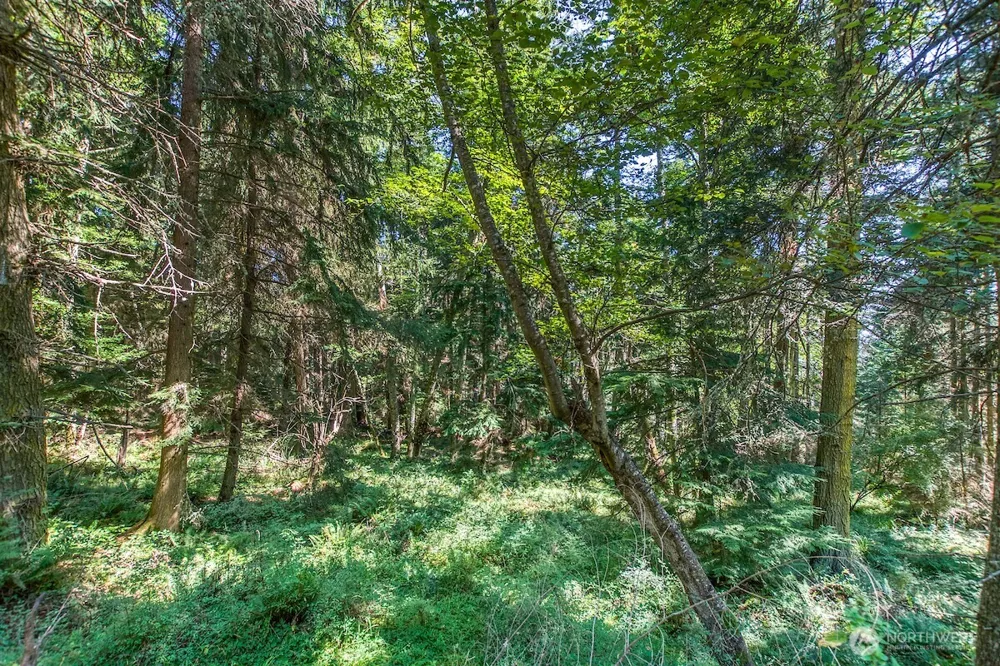 0 Pioneer Hill Road Orcas Island, WA 98245