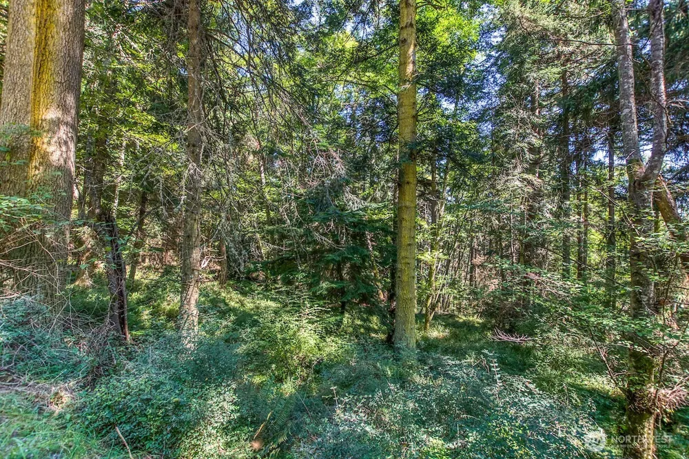 0 Pioneer Hill Road Orcas Island, WA 98245