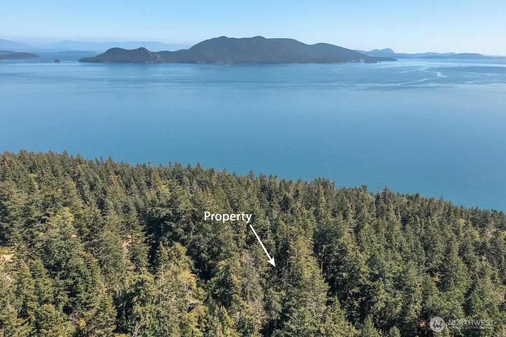0 Pioneer Hill Road Orcas Island, WA 98245