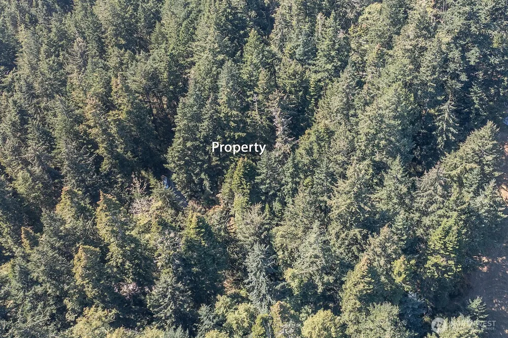 0 Pioneer Hill Road Orcas Island, WA 98245