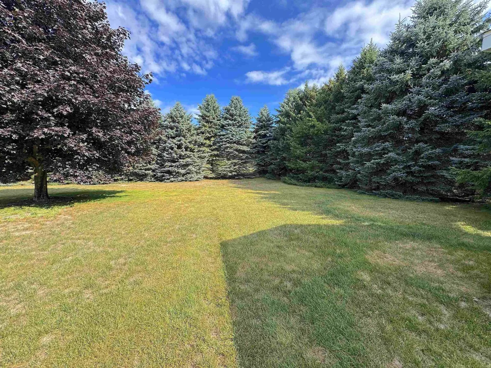 741 S Creek Court Blair Township, MI 49696