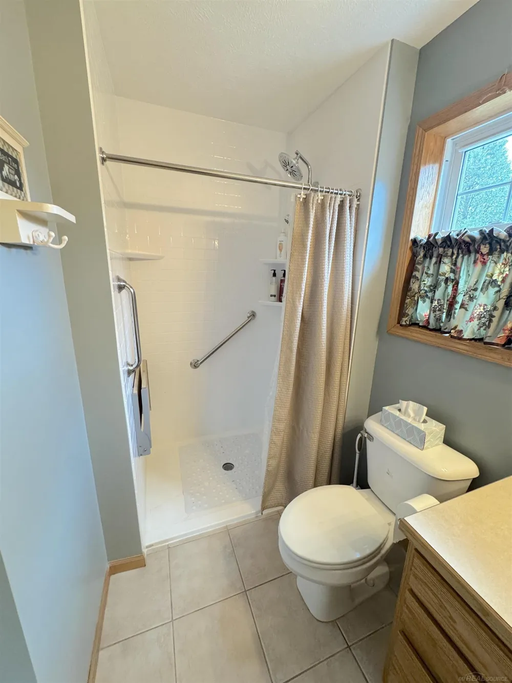 741 S Creek Court Blair Township, MI 49696