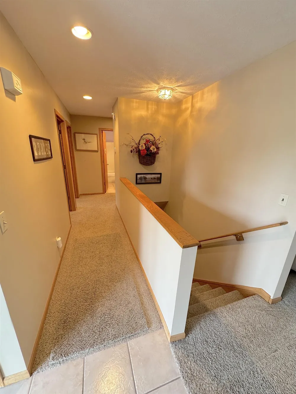 741 S Creek Court Blair Township, MI 49696