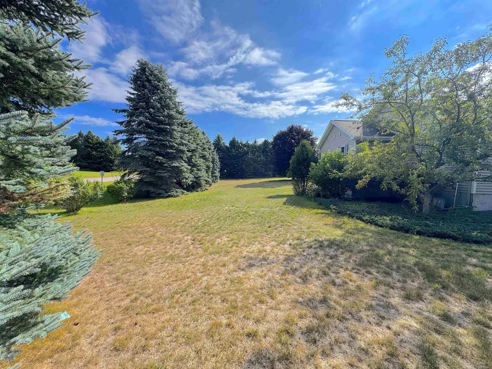 741 S Creek Court Blair Township, MI 49696