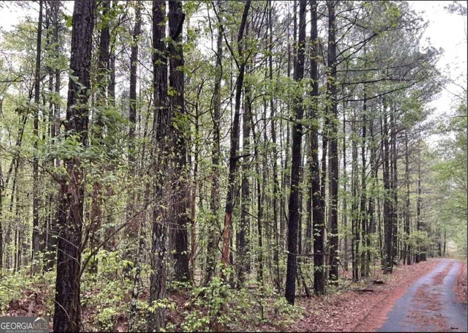 0 Labudde LN Colbert, GA 30628