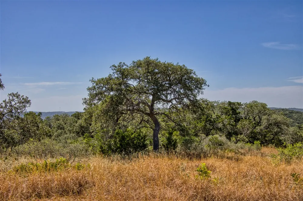 1316 Indian Creek Road Bandera, TX 78003