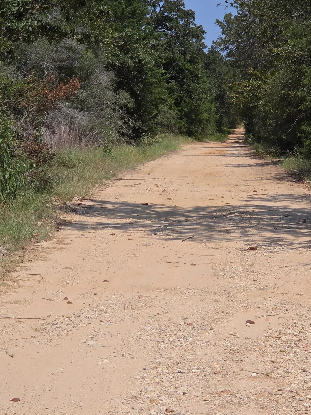 4879 Hwy 36 Highway Milano, TX 76556