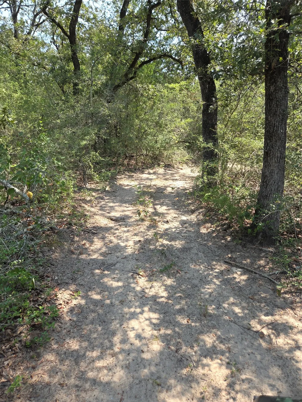 4879 Hwy 36 Highway Milano, TX 76556