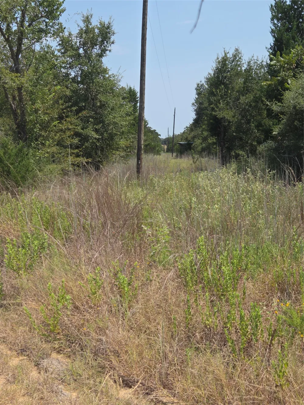 4879 Hwy 36 Highway Milano, TX 76556