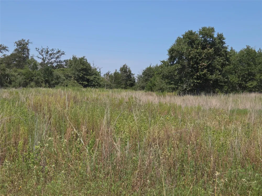 4879 Hwy 36 Highway Milano, TX 76556