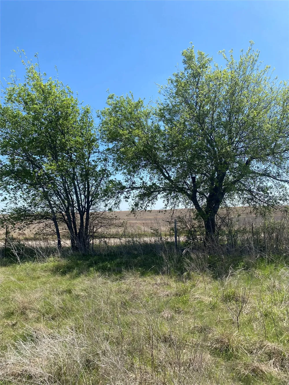 1536 County Road 3545 Road Clifton, TX 76634