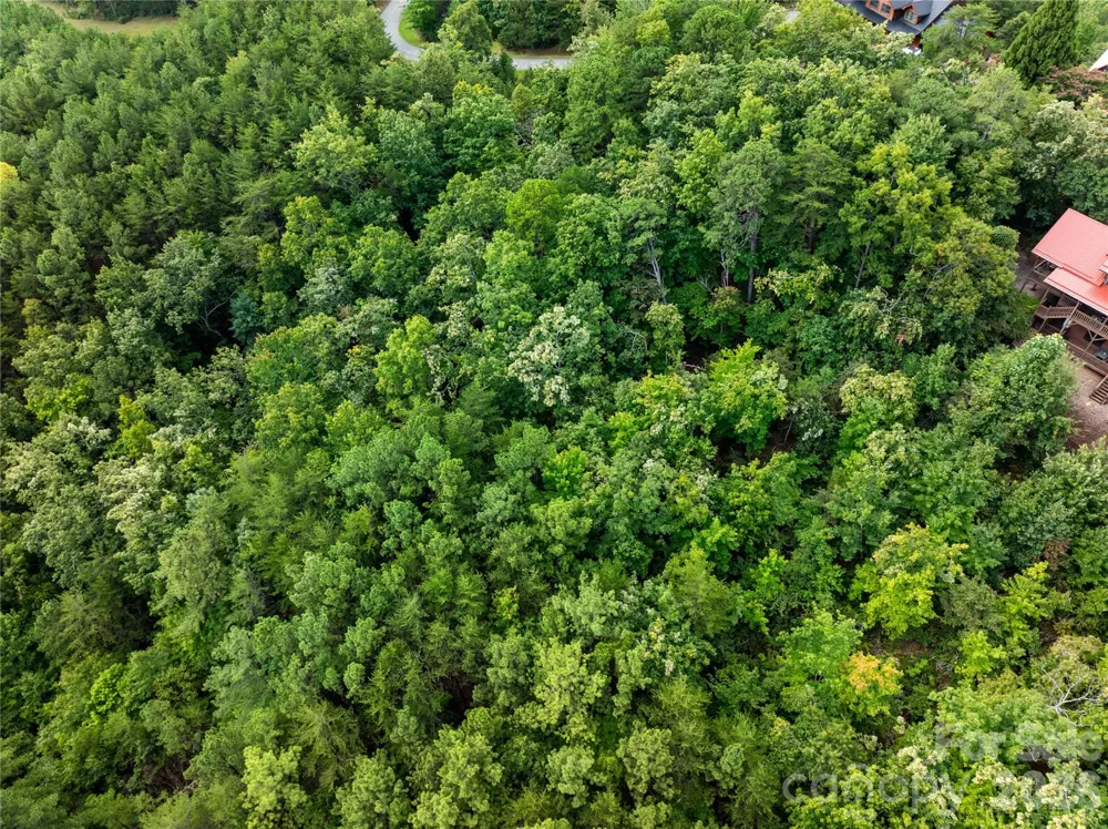0 Boulder Ridge #5 Lake Lure, NC 28746