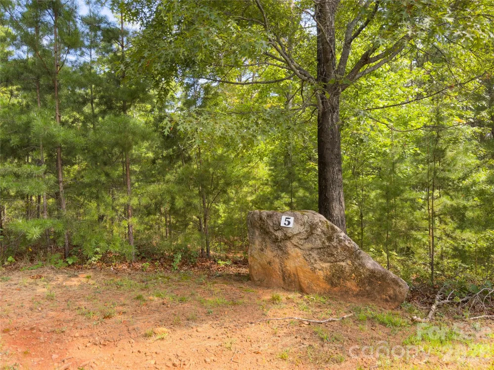 0 Boulder Ridge #5 Lake Lure, NC 28746