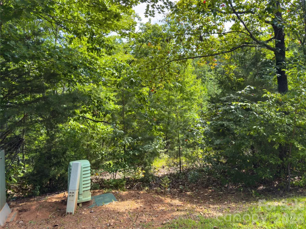 0 Boulder Ridge #5 Lake Lure, NC 28746