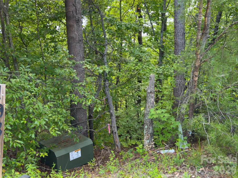 0 Boulder Ridge #5 Lake Lure, NC 28746