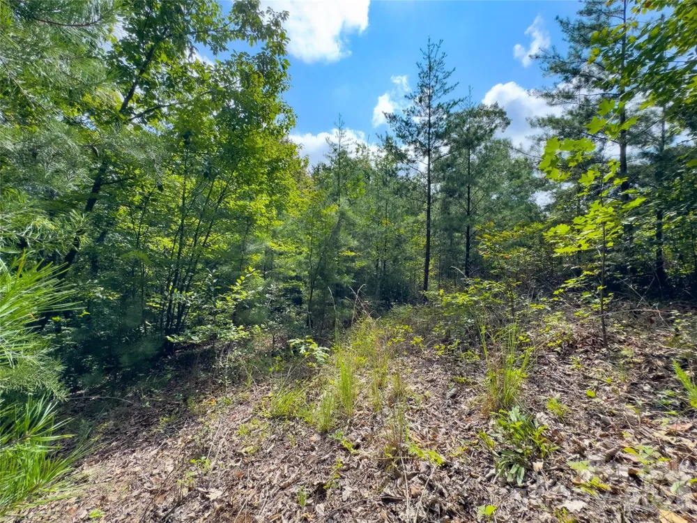 0 Boulder Ridge #5 Lake Lure, NC 28746