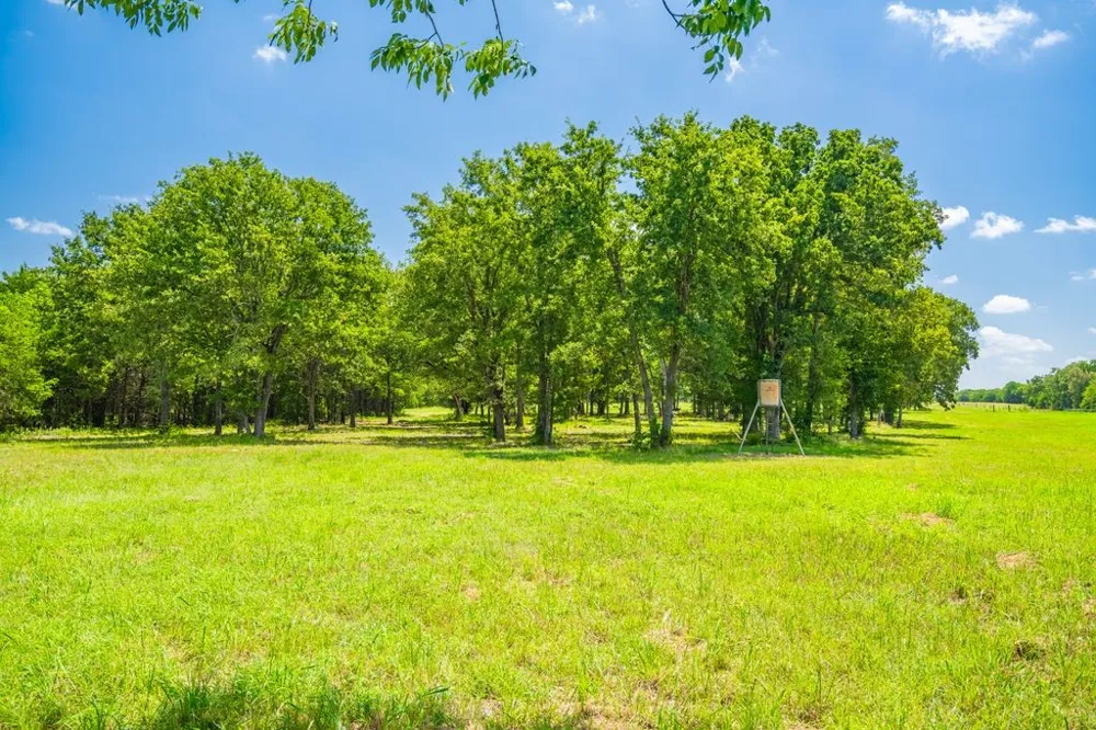 County Road 3573 Dike, TX 75437