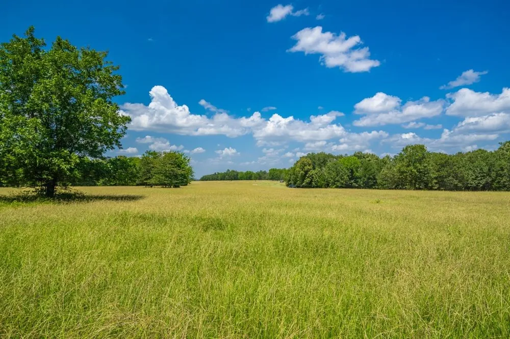 County Road 3573 Dike, TX 75437