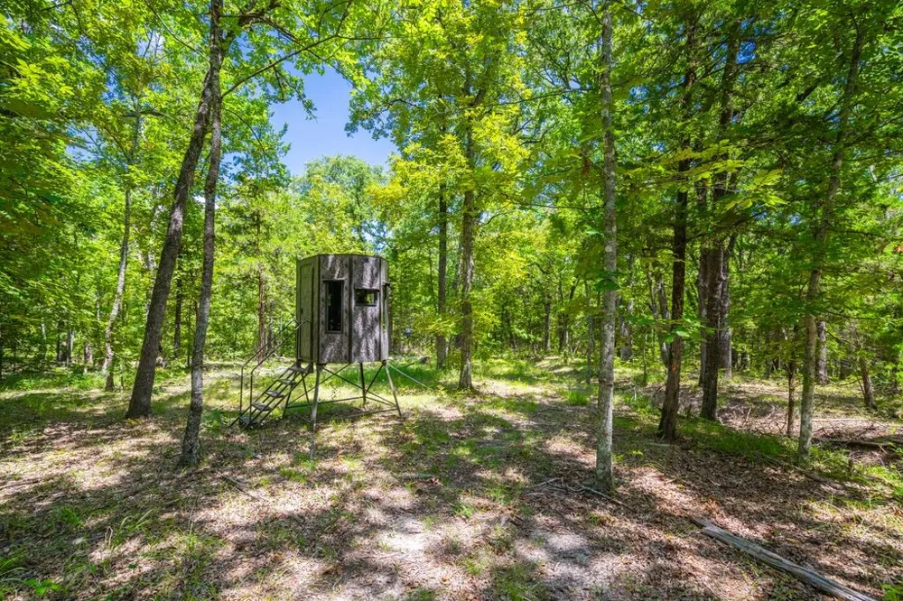 County Road 3573 Dike, TX 75437