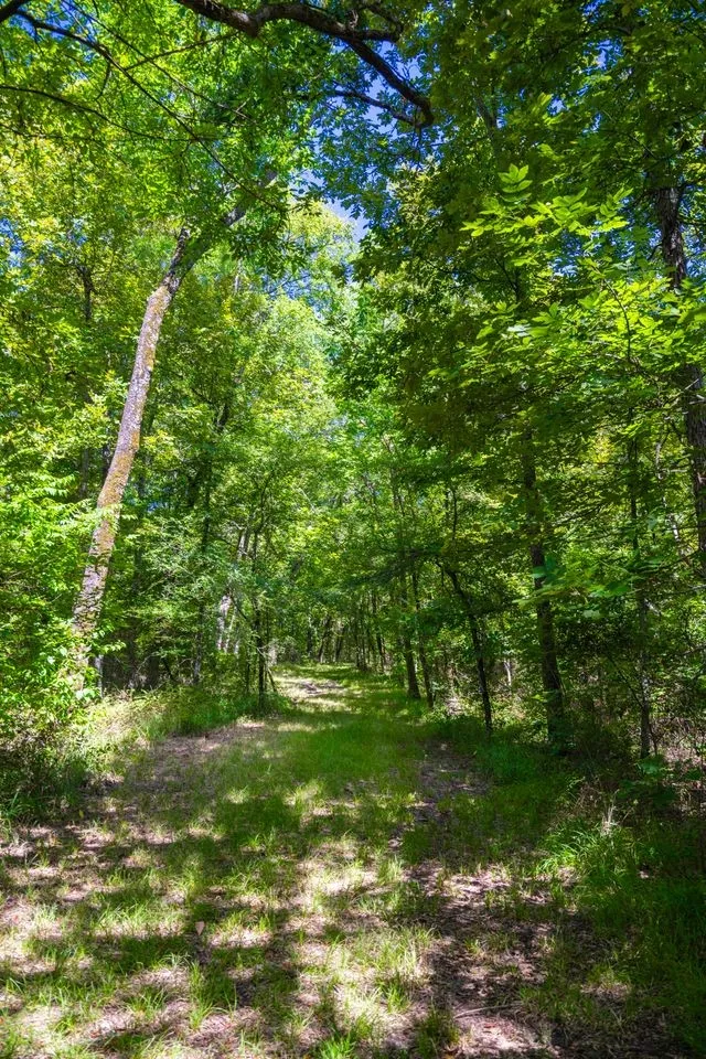 County Road 3573 Dike, TX 75437