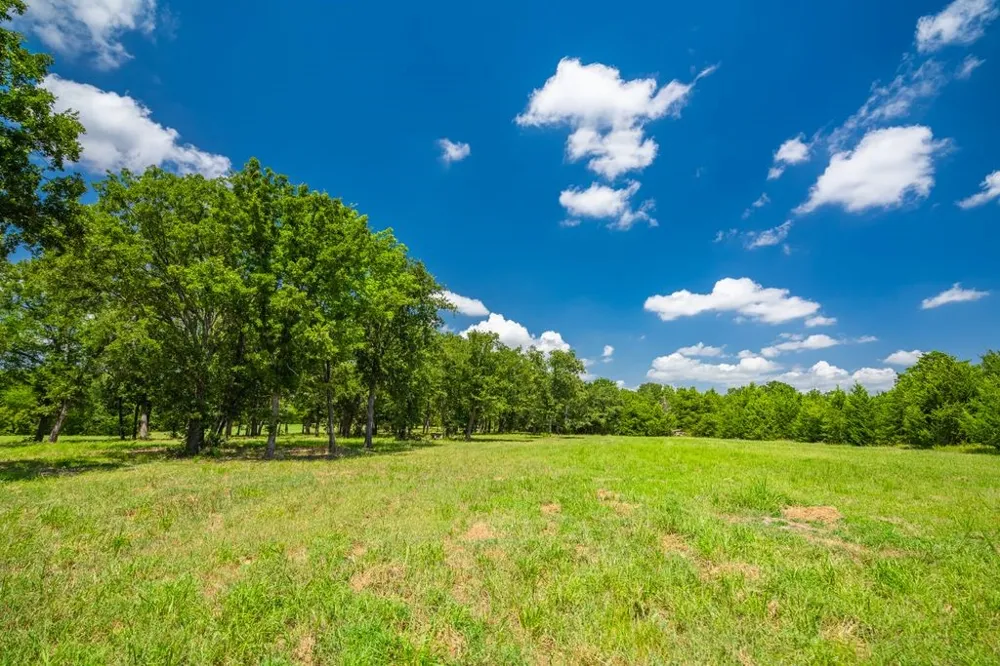 County Road 3573 Dike, TX 75437