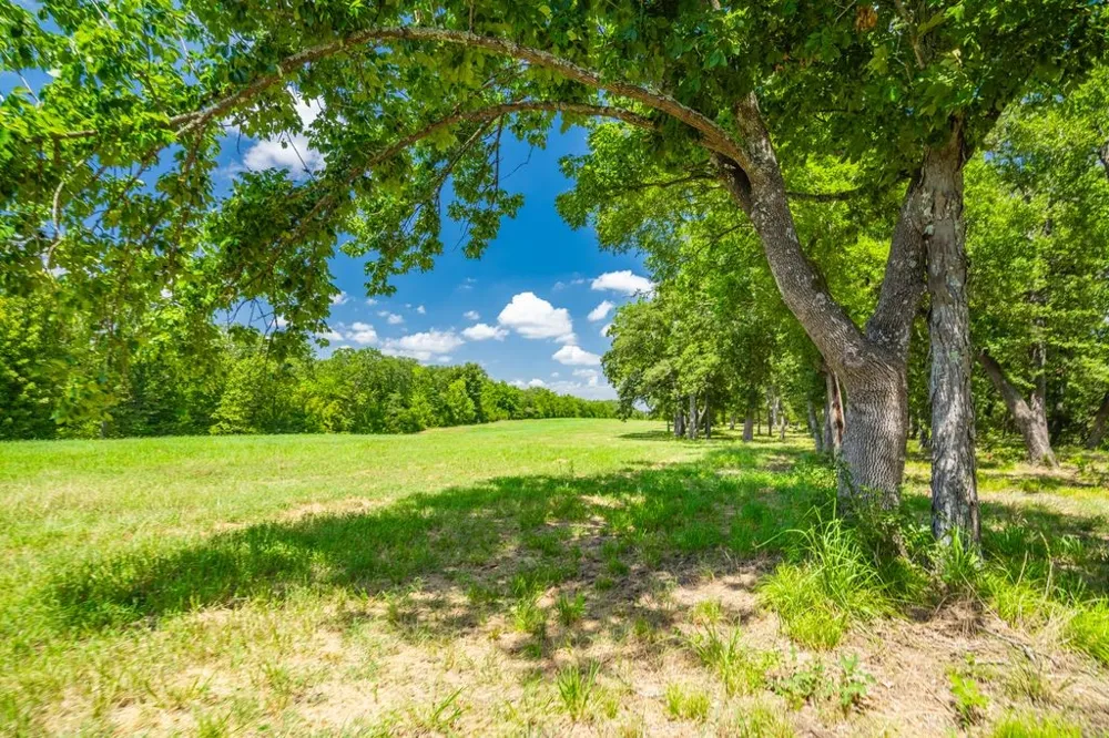 County Road 3573 Dike, TX 75437