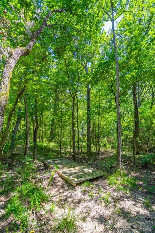 County Road 3573 Dike, TX 75437