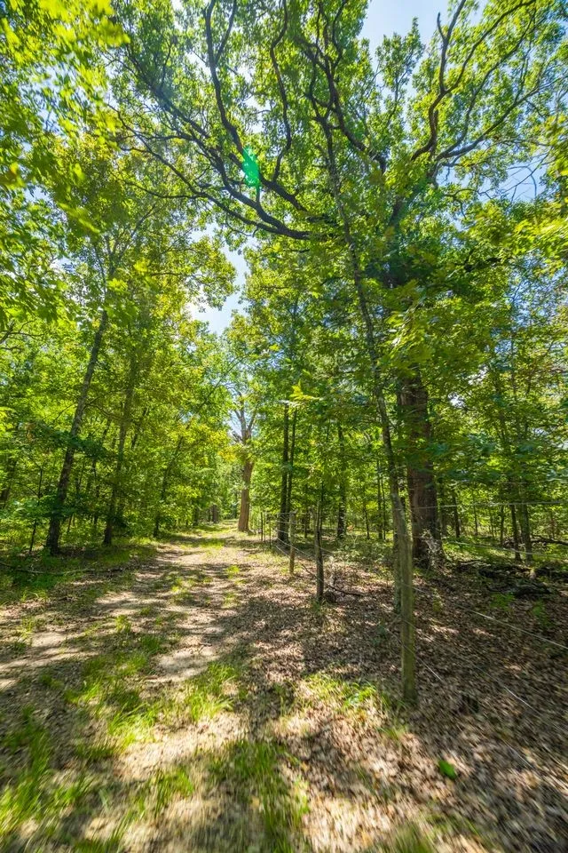 County Road 3573 Dike, TX 75437