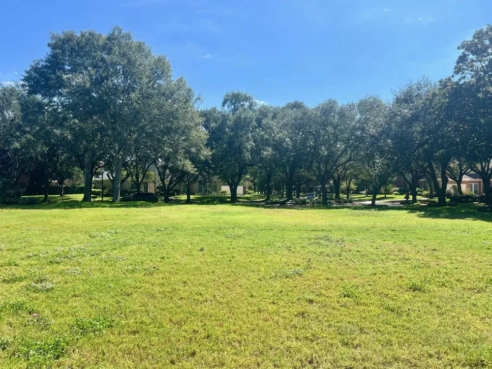 54 Greensward Lane Sugar Land, TX 77479