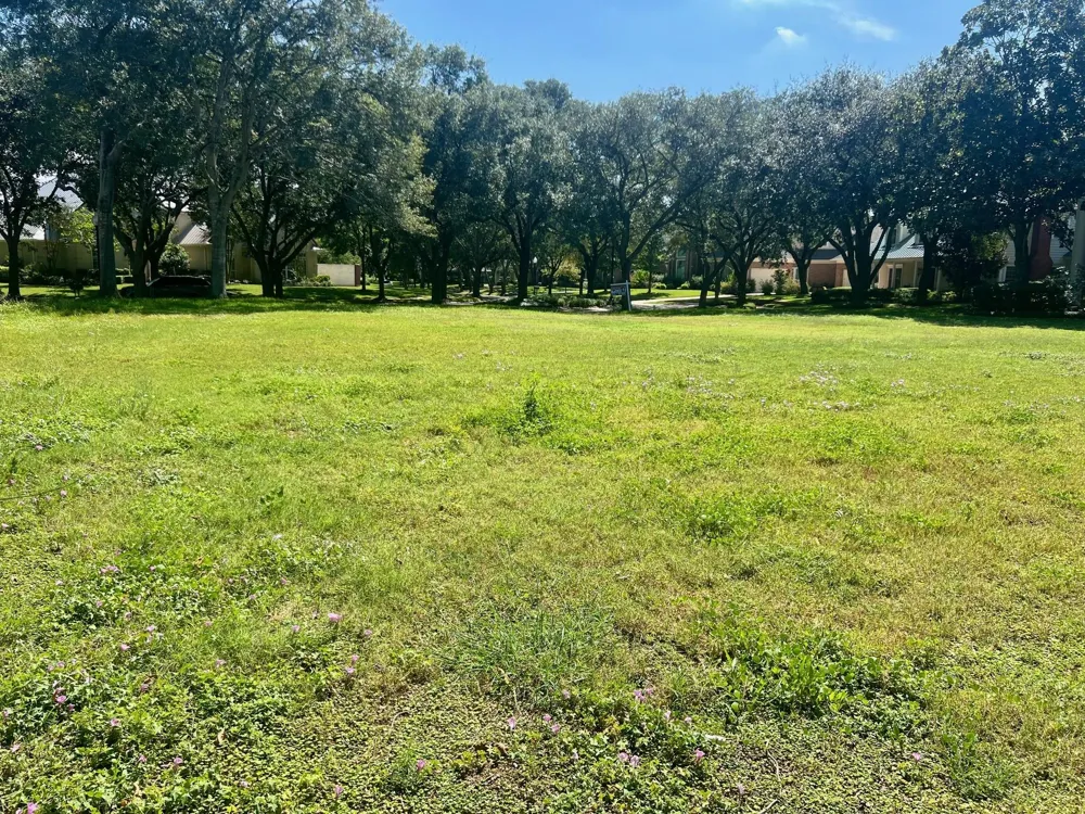 54 Greensward Lane Sugar Land, TX 77479